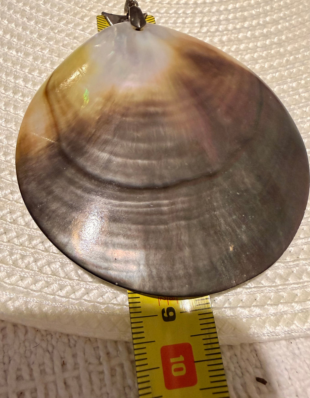 Pearl shell pendant