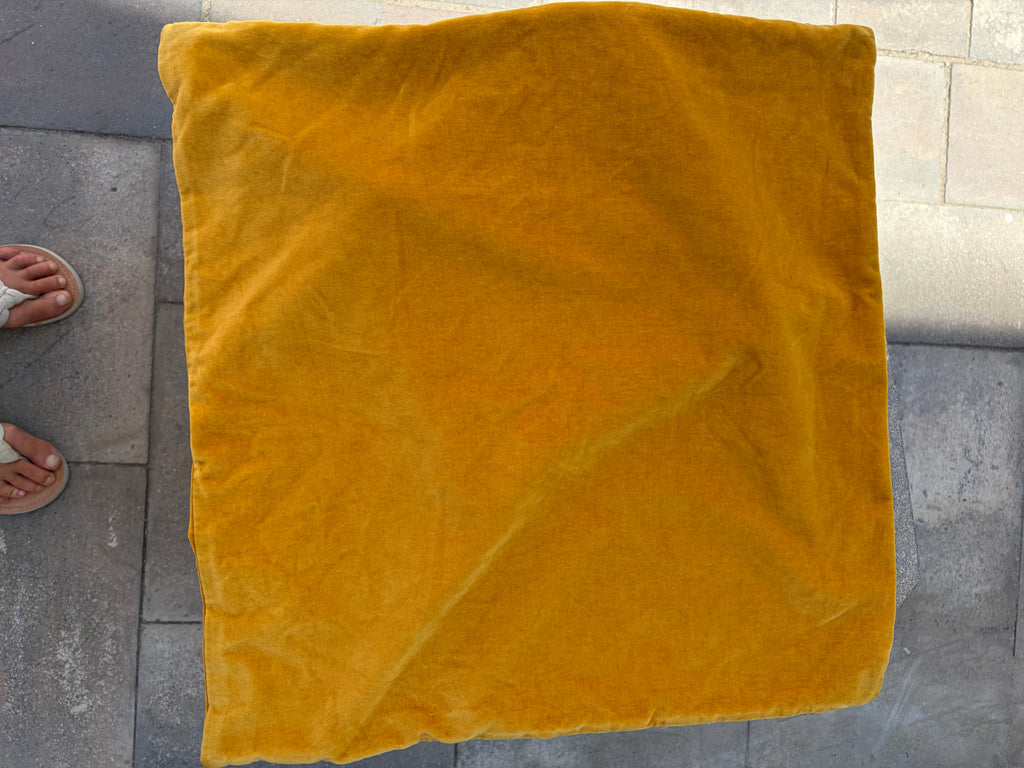 2 velvet cushion covers