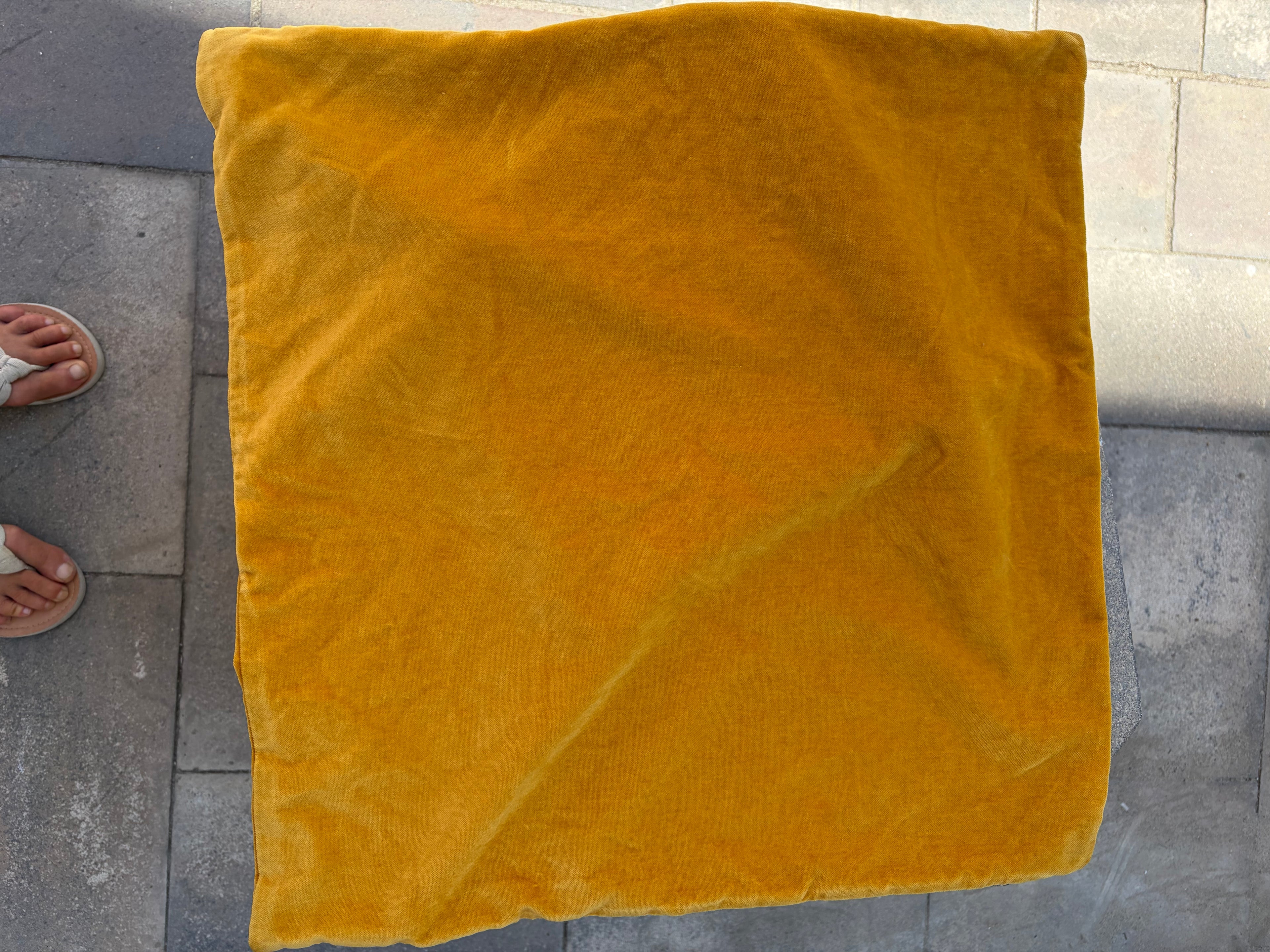 2 velvet cushion covers