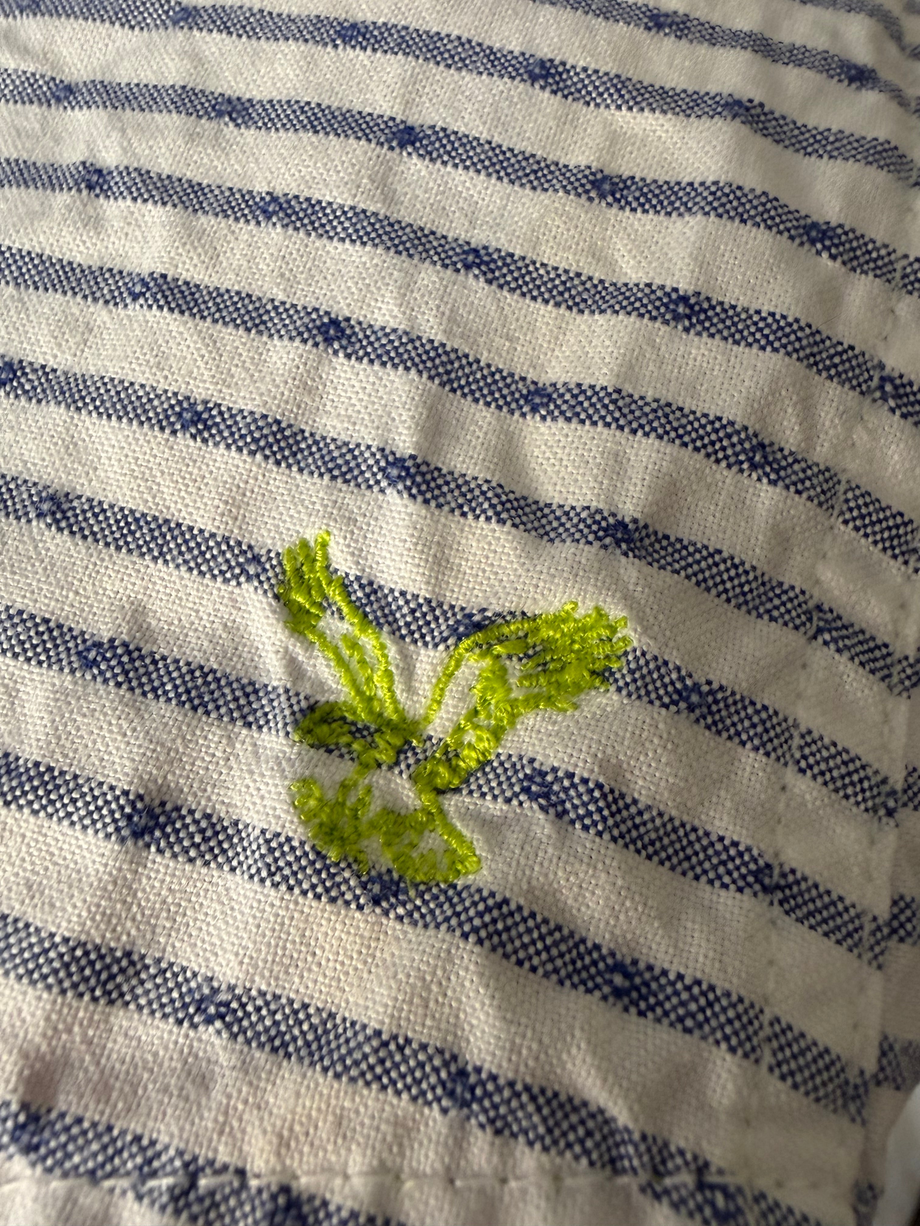 American Eagle Outfitters shirt